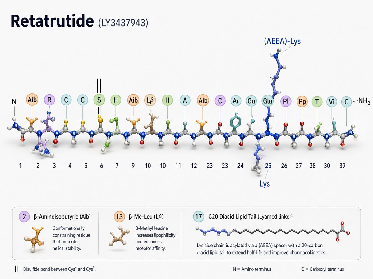 Estructura molecular de Retatrutide con cadena peptídica y enlazador lipídico