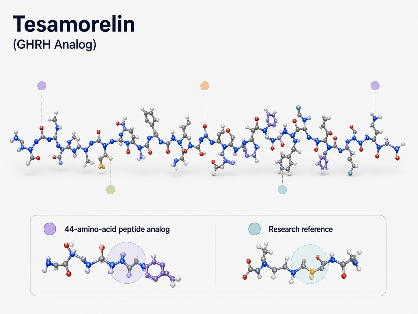 Molecular visualization of Tesamorelin as a GHRH analog